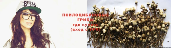 герыч Дмитров
