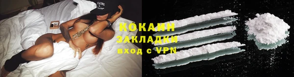 индика Армянск