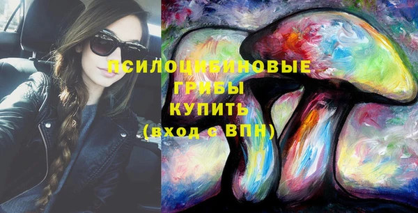 индика Армянск