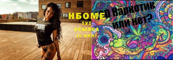 индика Армянск