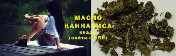 индика Армянск
