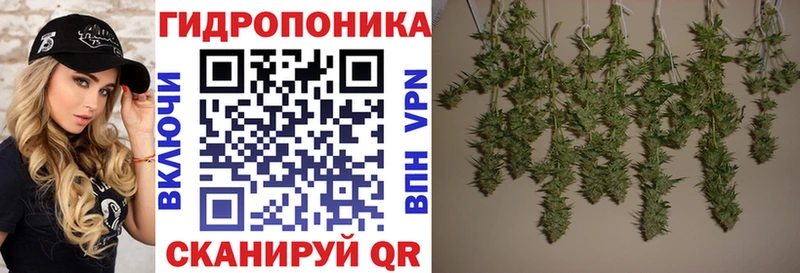 МАРИХУАНА гибрид Северо-Курильск